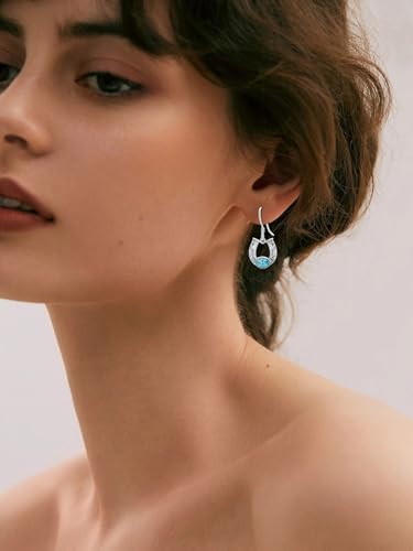 Dorunmo s925 Sterling Silver Western Dangle Drop Earrings Birthday Jewelry Gifts for Women - style: Horseshoe