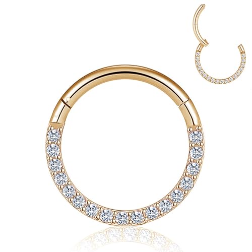 HQLA 16G Nose Hoop Ring Septum Ring Clear CZ Daith Earring Surgical Steel Hinged Segment Seamless Clicker Tragus Rook Helix Cartilage Conch Hoop Piercing Jewelry for Women men 8mm 10mm - style: 16G-10MM- Front Face CZ-Gold