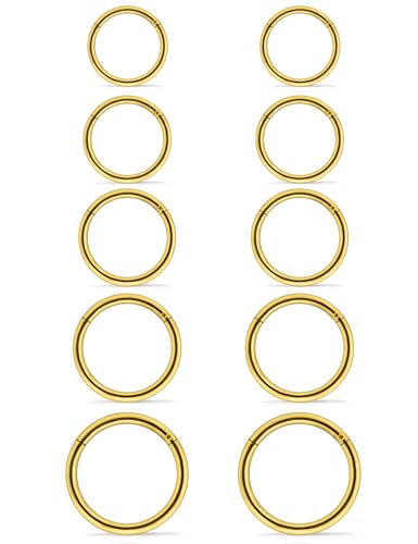 10PCS 16G Surgical Steel Hinged Clicker Segment Septum Lip Nipple Ring Hoop Cartilage Tragus Helix Sleeper Earrings Piercing Jewelry for Women Men 8mm 10mm 12mm 14mm 16mm - color: gold-tone