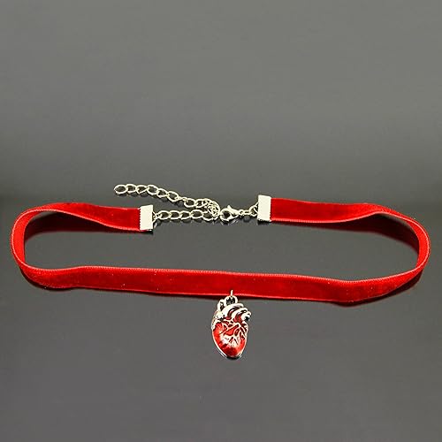 Realistic Heart Necklace for Women Anatomical Heart Jewelry Red Velvet Ribbon Choker Anatomical Heart Gifts Red Heart Pendant Medical Necklace Red Gothic Jewelry Women Heart Organ Jewelry