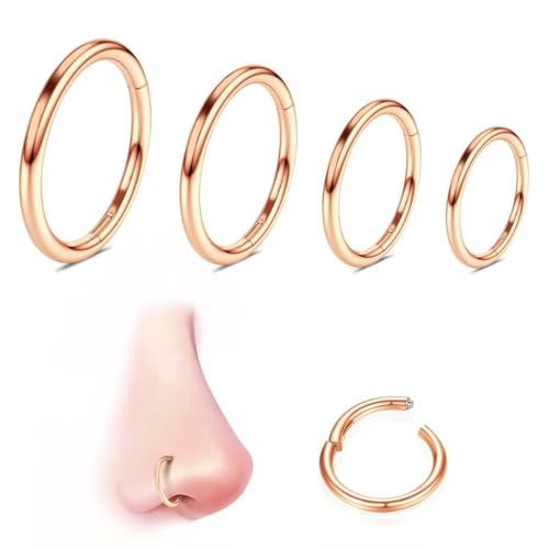 WBRWP 316L Stainless Steel Nose Rings Hoop for Women Men Hypoallergenic | 20G 18G 16G 14G Conch Piercing Jewelry Segment Clicker Lip Rings Helix Cartilage Rook Earrings Diameter 6mm 8mm 10mm 12mm - color: 4pc set in rose gold color(each dia. 1 pc)