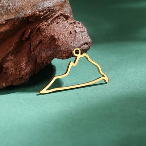kkjoy 5Pcs Hollow Continents Maps of USA Pendant Charms for Jewelry Making and Crafting, Stainless Steel Mini Charm Craft Supplies Accessories for DIY Bracelet Necklace Earrings - color: Hollow Virginia Map - Gold
