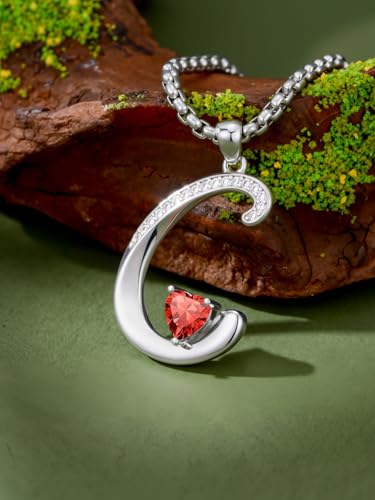 A to Z Initial Birthstone Pendant Necklaces Name Jewelry for Women | 18K White Gold Plated Personalized Alphabet Jewelry Anniversary Christmas Birthday Gifts for Wife Her Daughter Girlfriend - color: C Initial-07-Jul