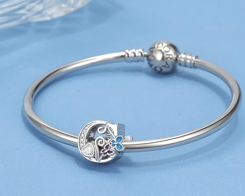 S925 Silver Butterfly Initial Letter Charms Fit for Pandora Charms Bracelets and Necklace Alphabet Bead Charms Jewelry Gifts for Women - color: C