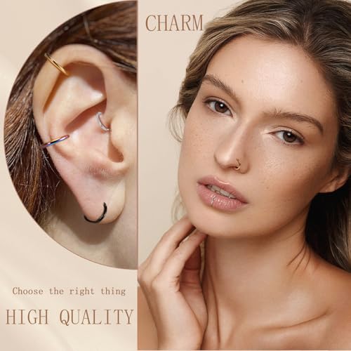 AROWRO Nose Rings Hoops 5 Pcs Septum Rings 20G 18G 16G 14G 12G Conch Piercing Jewelry 316L Surgical Steel Hinged Segment Nose Hoops Helix Daith Rook Tragus Cartilage Piercing Jewelry