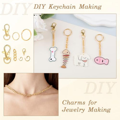 BESARME 1130PCS Keychain Making Kit Jump Rings for Jewelry DIY Key Chain Supplies with Keyrings Bulk, Metal Lobster Claw Clasp, Swivel Snap Hook, Extender Chain for Crafts Accessories（Gold） - color: Gold