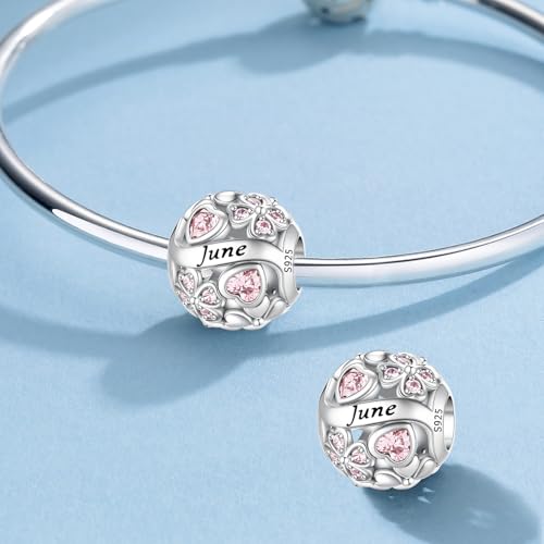HappyStar 925 Sterling Silver Four Leaf Clover Bead Charm with Cubic Zirconia Birthstone Charms for Bracelets Dangle Pendant Compatible Pandora Bracelets Lucky Charm Birthday Gift - color: 6-June Birthstone Bead