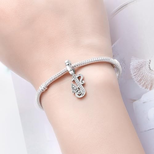 2 Pack 925 Sterling Silver Butterfly Letter Charms for Bracelets and Necklace Alphabet Initial Dangle Pendants Round Spacer Beads Pave Cubic Zirconia Jewelry Gift for Women - color: J Set