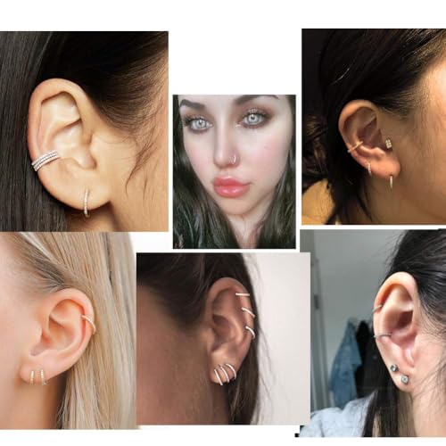 OUFER Gold Hinged Segment Earring Hoop 16G Stainless Steel with Cartilage Earrings Clear CZ Paved Tragus Helix Earrings Cartilage Earring Septum Nose Ring Hoop - color: Gold,18g,11mm