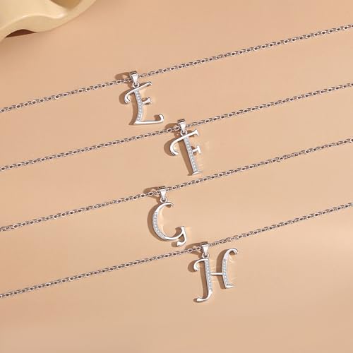 VIKI LYNN Dainty Initial Letter Pendant Necklace for Women | Cubic Zirconia Initial Jewelry, Personalized Letter Necklace, Dainty Women Jewelry, Birthday Gift Idea for Her, Mom and Wife - color: Silver, style: Silver-G