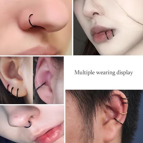 2Pcs Titanium Nose Rings 20G 18G 16G 14G Nose Rings Hoops Diameter 5mm to 12mm Silver-Gold-Rose Gold-Black Cartilage Helix Tragus Daith Rook Hoop Earrings Hinged Segment Septum Clicker Body Piercing Jewelry - color: Black