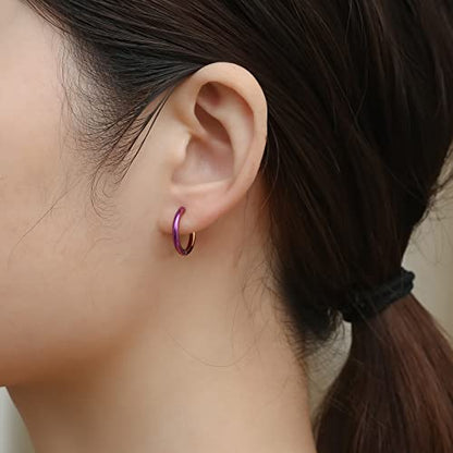 316L Surgical Stainless Steel Small Hoop Earrings 8mm 10mm 12mm 14mm Hypoallergenic Huggie Hoop Earrings Helix Lobes Hinged Sleeper Earrings Cartilage Piercings - color: H: Rainbow (Diameter 8mm/10mm/12mm/14mm),4 Pairs
