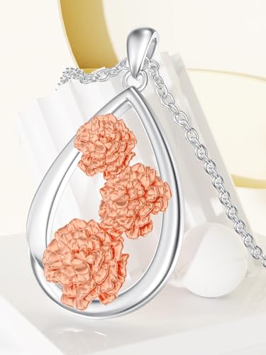 12 Month Birth Flower Necklace for Women 925 Sterling Silver Floral Teardrop Pendant Birthday Jewelry Gifts - color: 01. January Carnation