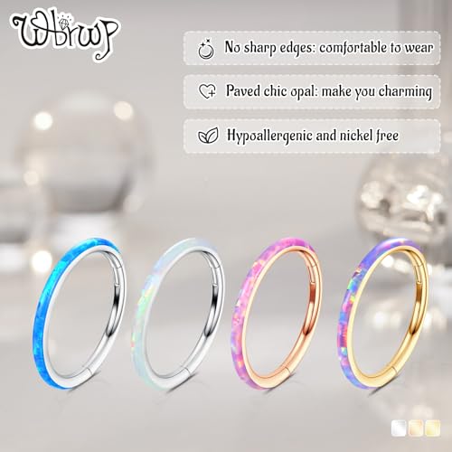 WBRWP 316L Stainless Steel Nose Hoop Rings Clicker with Zircon/Opal 14g-20g | Hypoallergenic Nose Rings Segment Clicker Lip Rings Cartilage Rook Conch Earrings Diameter 5mm-10mm - color: Silver ring with purple opal -1pc pack