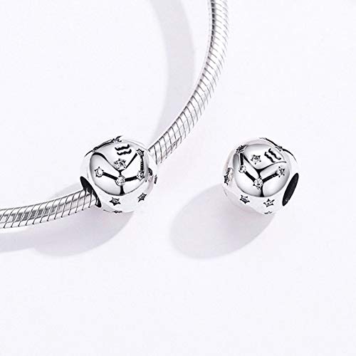 Constellation Charm 925 Sterling Silver Birthstone Bead for Pandora Charms Bracelet-Gift for Anniversary Birthday Christmas Day - color: Aquarius(1.20-2.18)