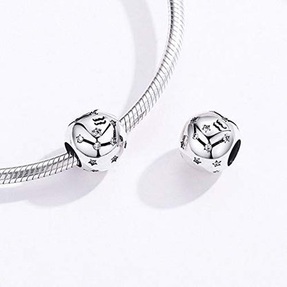 Constellation Charm 925 Sterling Silver Birthstone Bead for Pandora Charms Bracelet-Gift for Anniversary Birthday Christmas Day - color: Aquarius(1.20-2.18)