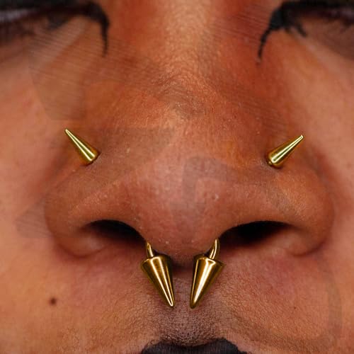 ZS 20G Spike Nose Rings Studs, 18G Stainless Steel Spike Stud Earrings, 16G Septum Lip Rings Cartilage Tragus Helix Piercing for Women Men - color: 12pcs 20g nose screw studs(gold+silver)