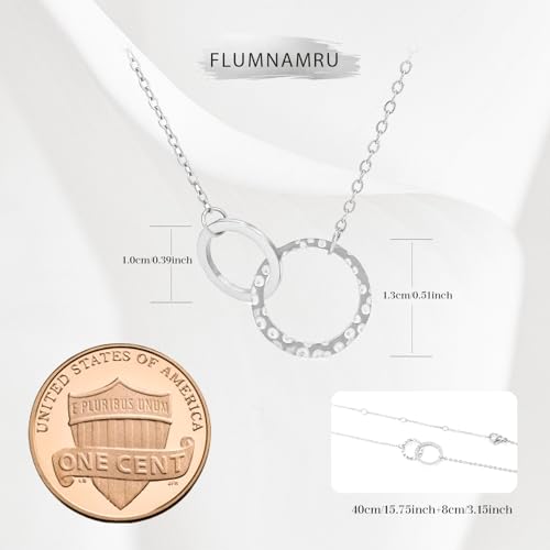 Minimalist Stainless Steel Single or Two Circular Hammered Texture Pendant Necklace for Women, 14K Gold/Silver/Rose Gold Plated Hypoallergenic Stackable Layered Collarbone adjustable Chain Necklace, Dainty Layering Necklace Jewelry Gift - style: Silver Tw