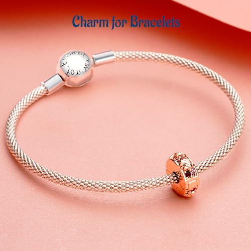 Clip Stopper Spacer Charms for Bracelets Necklaces, Compatible with Pandora,Jewery Making DIY - style: Plated Shell Clip 14K Rose Gold