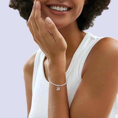 LNQOBU Complete A~Z Alphabet Charm Letter Beads, Solid 925 Sterling Silver with Cubic Stones Rose Alphabet Charm fits Pandora Bracelets Necklace Women Jewelry - color: CYT-W