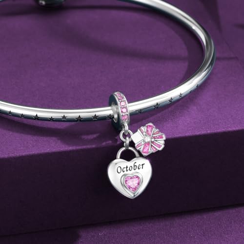 925 Sterling Silver Birthstone Bracelet Charm - Unique Heart Shaped Design, Fits most Europe Pandora Bracelets and Necklaces, women's DIY holiday Gifts - style: J-October
