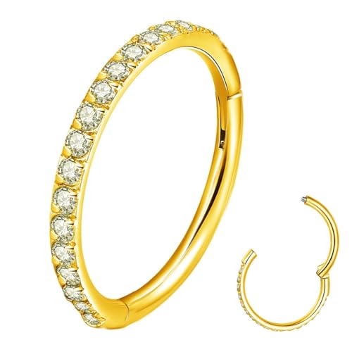 ORANGELOVE 20G 18G 16G Clear CZ Nose Ring Hoop 316L Surgical Steel Seamless Silver Septum Ring Clicker Jewelry Cartilage Earring Ear Piercing Hoop Earrings for Women Men Helix Rook Lobe Conch Tragus Daith Lip Hinged Piercing Jewelry with Cubic Zirconia -