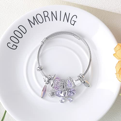 DS Charm Bracelets for girls,exquisite cute cartoon friendship bracelets Silver Stainless Steel Bangle with birthday Gift box, Adjustable girls jewelry Suitable for holiday gifts - style: Silver-purple butterfly2