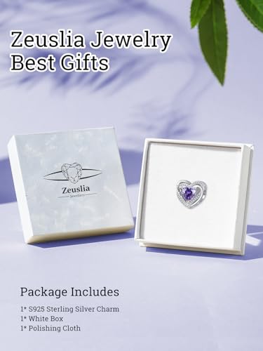 Heart Birthstone Charms for Bracelets, 925 Sterling Silver Women Bead Charms for Charm Bracelets Necklace, Mother's Day Birthday Anniversary Jewelry Gifts for Wife Mom Grandma Daughter - style: Bead - Feb - Amethyst