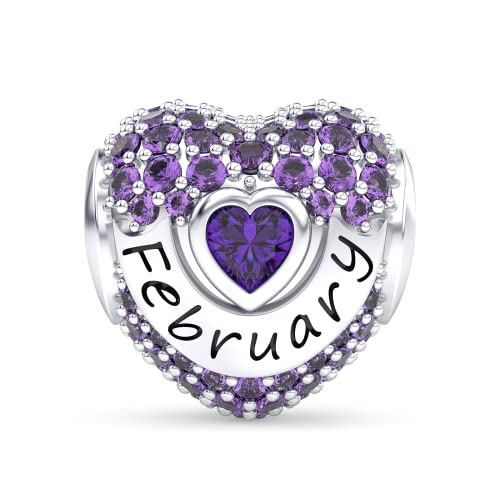 Birthstone Charms Love Heart Openwork Bead Charm for Women Bracelets and Necklaces 925 Sterling Silver with 5A Cubic Zirconia,Jewelry Gifts Women - color: Silver February Birthstone Charms