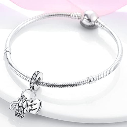 925 Sterling Silver Charm for Bracelet Necklace Women Dangle Pendant Beads | Love Faith Mom Ocean travel Butterfly Party Charm Beads Pendants DIY Jewelry Gift - color: Eternal Love Claw Heart