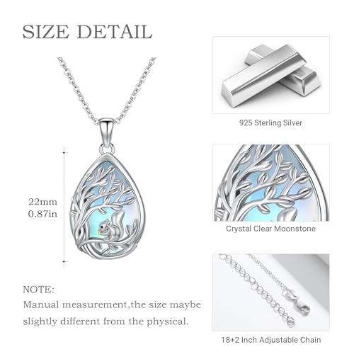 Dragonfly Necklace 925 Sterling Silver Moonstone Necklace Rainbow Stone Dragonfly Jewelry Christmas Birthday Gifts for Women Mom Her - style: Squirrel wtih Moonstone