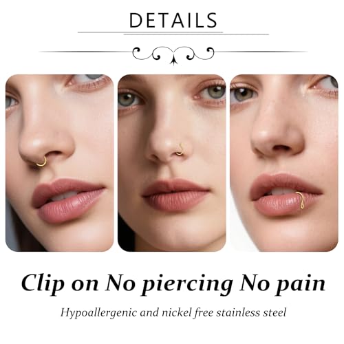 D.Bella Fake Septum Hoop 20G Faux Nose Piercing Hoop Clip on Nose Rings Non Piercing Fake Septum Lip Ear Ring Faux Body Piercing Jewelry for Women Men - color: Color B -gold