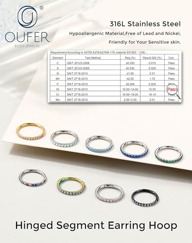 OUFER Nose Rings Surgical Steel Cartilage Earrings Tragus 316L Stainless Steel Helix Earrings Cartilage Earring 14G/16G/18G/20G Hinged Segment Rings Hoop - color: Black