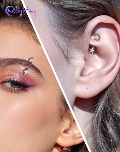 Melighting 16G Gold Star Rook Piercing Bar, 6/8 mm Rook Earring with Clear CZ, 316L Stainless Steel Stylish Eyebrow Lobe Piercing Jewellery for Daily Wear Women - color: Steel, size: 16G8mm