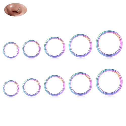 18G Nose Hoop Rings Surgical Steel Hinged Segment Clicker Rings 16G Septum Lip Rings 10 PCS Conch Daith Rook Cartilage Tragus Helix Sleeper Lobe Hoop Earrings Piercing Jewelry for Women 6mm to 16mm - color: Rainbow:10 pcs