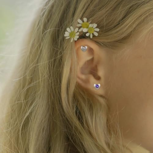 12 Pairs Surgical Stainless Steel Cubic Zirconia Birthstone Stud Earrings Heart Star Round Multicolors Stud Earrings Set for Women - style: Silver heart 4mm