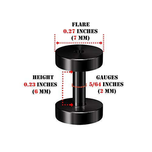 Pair of 316L Surgical Steel Black Anodized Screw-fit Piercing Jewelry Ear Stretching Lobe Plugs flesh Tunnel Earring - style: A03 2Pcs 12g (2mm)