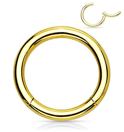 Forbidden Body Jewelry 316L Surgical Steel Hinged Seamless Nose Rings Hoop 14G 16G 18G, Diameter 6mm 8mm 10mm 12mm, Gold/Rose Gold/Silver/Black/Rainbow Colors. - style: 14g 10mm - Gold