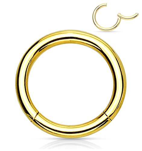 Forbidden Body Jewelry 316L Surgical Steel Hinged Seamless Nose Rings Hoop 14G 16G 18G, Diameter 6mm 8mm 10mm 12mm, Gold/Rose Gold/Silver/Black/Rainbow Colors. - style: 14g 10mm - Gold