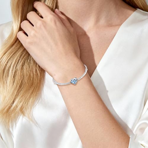 925 Sterling Silver Charms for Bracelets and Necklaces Beads Charms Jewelry Gift for Women - color: A Happy Family