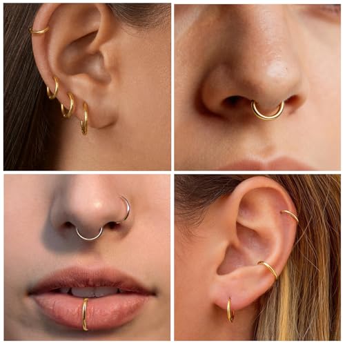 3Pcs Nose Rings Hoops for Women Men, 18G Nose Hoops Gold/Silver | Hinged Clicker Septum Rings Tragus Conch Helix Daith Lip Body Piercing Jewelry 6/8/10mm - color: 3pcs/gold/18g