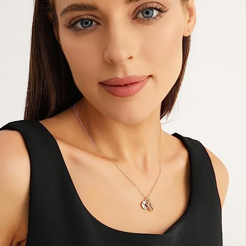 Zealmer Dainty 18K Gold Plated Compass World Map Pendant Necklace Graduation Gift for Friends - color: Worldmap Gold Tone