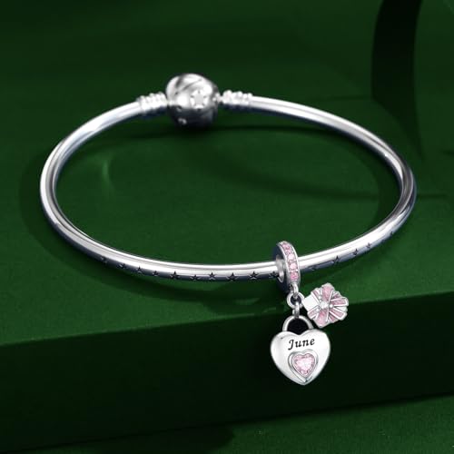 925 Sterling Silver Birthstone Charms Fit for Bracelet and Necklace Happy Birthday Charm Mother's Day Jewelry Gift for Women - color: 6-June