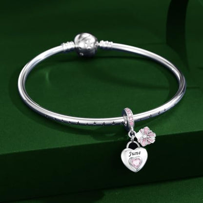 925 Sterling Silver Birthstone Charms Fit for Bracelet and Necklace Happy Birthday Charm Mother's Day Jewelry Gift for Women - color: 6-June