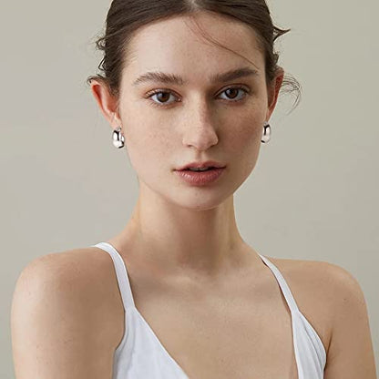 Gold Clip on Earrings for Women 14K Gold Plated Chunky Clip on Hoop Earrings 9 Pairs No Piercing Fake Earrings Set - color: Silver Tone