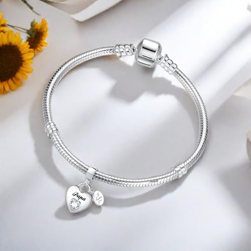 TCHYUN Family Series Dangle Charm Heart Birthstone Bead for Pandora Bracelet Women Gift - style: Papa