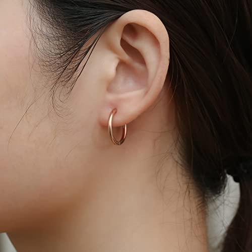 316L Surgical Stainless Steel Small Hoop Earrings 8mm 10mm 12mm 14mm Hypoallergenic Huggie Hoop Earrings Helix Lobes Hinged Sleeper Earrings Cartilage Piercings - color: D: Diameter 14mm (6 Color),6 Pairs