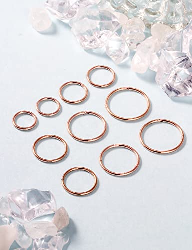 Vsnnsns 14G 16G Septum Nose Rings Hoops Lip Ring Piercing Jewelry 316L Surgical Steel Hinged Segment Clicker Cartilage Tragus Helix Conch Rook Daith Lobe Earrings Hoops Piercing Jewelry for Women Men - color: 16G-Rose Gold