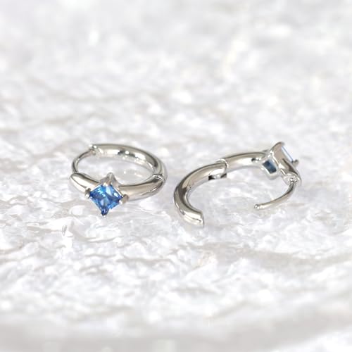 316L Surgical Steel Birthstone Hoop Earrings for Women | Lightweight, 5A Cubic Zirconia, Hypoallergenic, Lead & Nickel Free, 8mm Huggie Hoops - color: Silver: 12. December (Tanzanite)