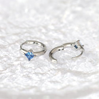 316L Surgical Steel Birthstone Hoop Earrings for Women | Lightweight, 5A Cubic Zirconia, Hypoallergenic, Lead & Nickel Free, 8mm Huggie Hoops - color: Silver: 12. December (Tanzanite)